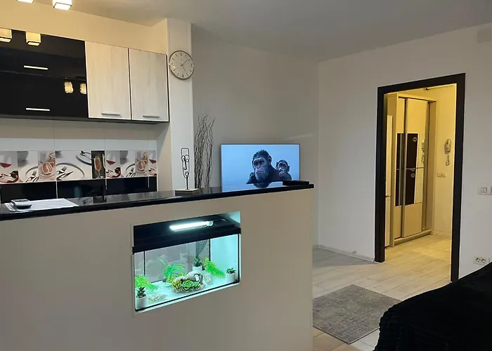 Fancy Arena Nationala *