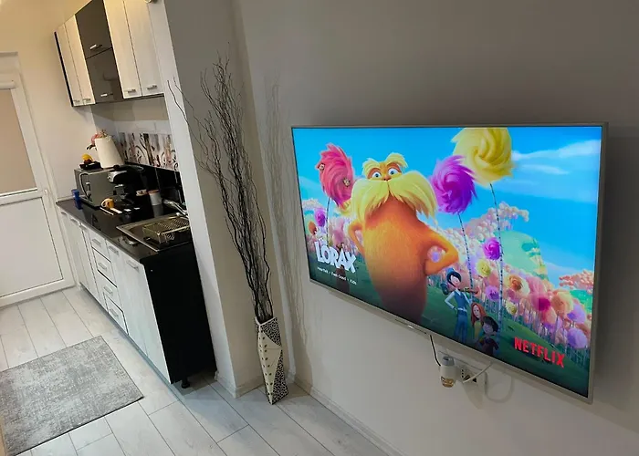 Fancy Arena Nationala * Bucureşti