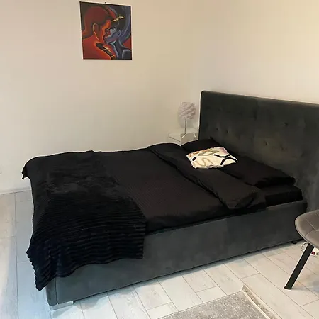 Fancy Arena Nationala * 부쿠레슈티