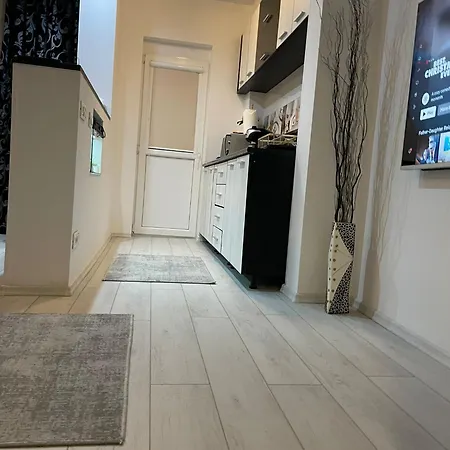 Fancy Arena Nationala *