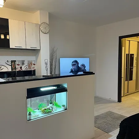 Fancy Arena Nationala *