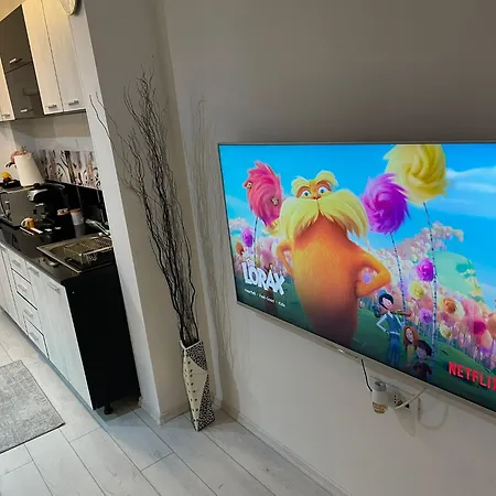 Fancy Arena Nationala * Bukareszt