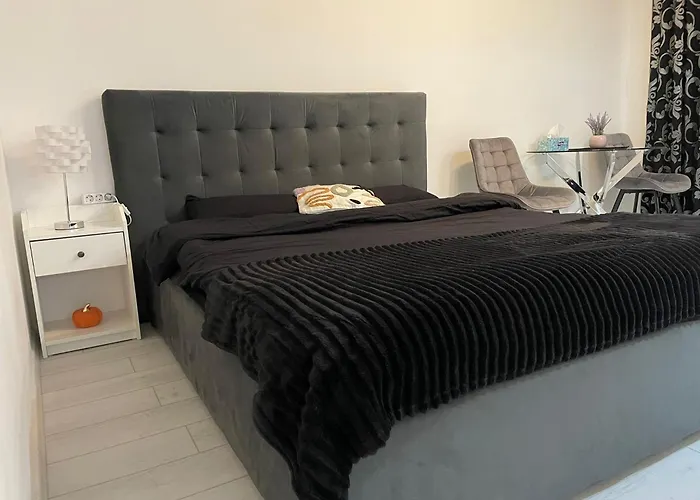 Fancy Arena Nationala *