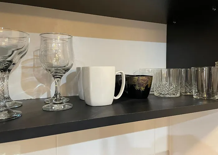 Fancy Arena Nationala