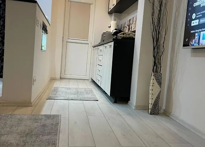 Fancy Arena Nationala *